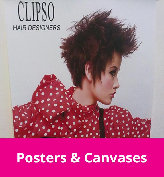 Posters & Canvases